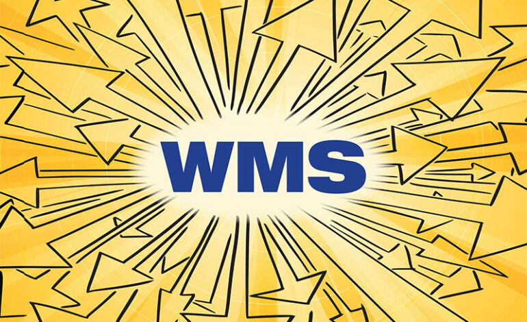 Enhancing Supply Chains: The Strategic Role of Automated Testing in WMS Success