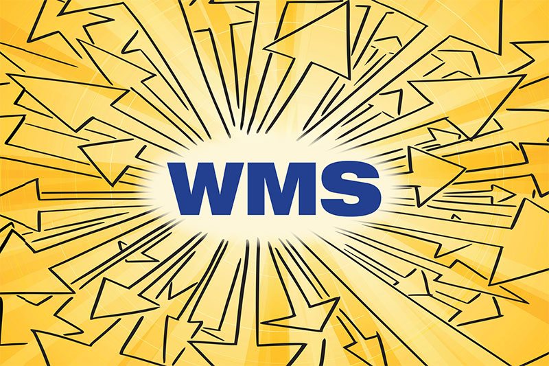 Enhancing Supply Chains: The Strategic Role of Automated Testing in WMS Success