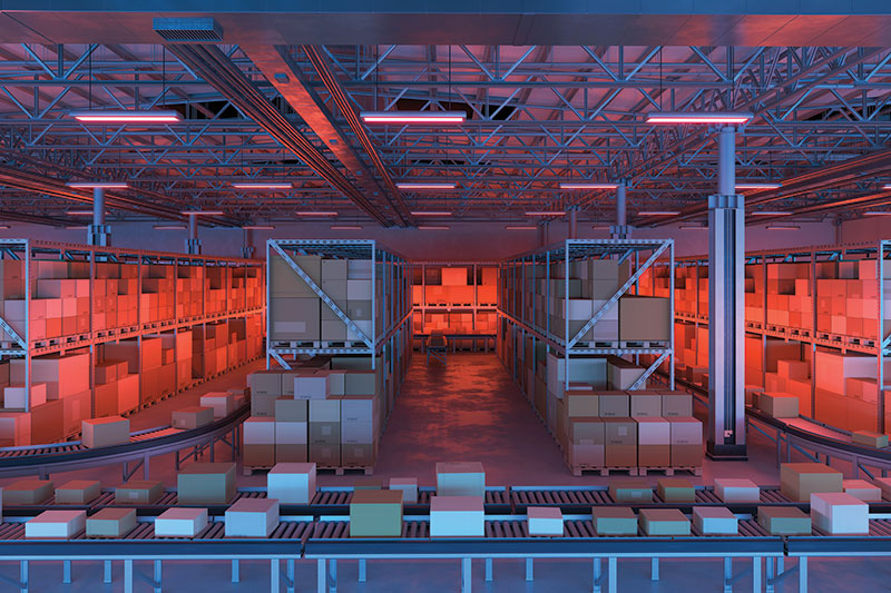 2025 Automation Trends: Transforming the Future of Warehouse Operations