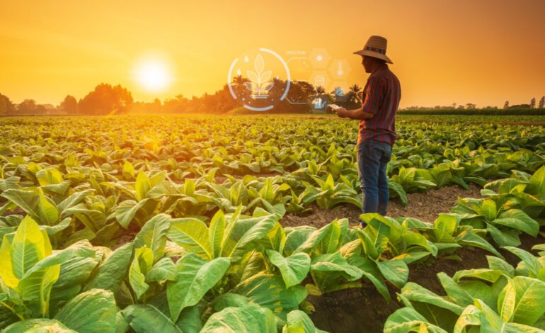 How Artificial Intelligence is Revolutionizing Farming: A Comprehensive Guide