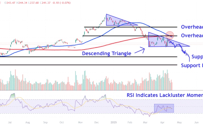 Understanding Tesla’s Crucial Price Levels as Stock Trends Downward