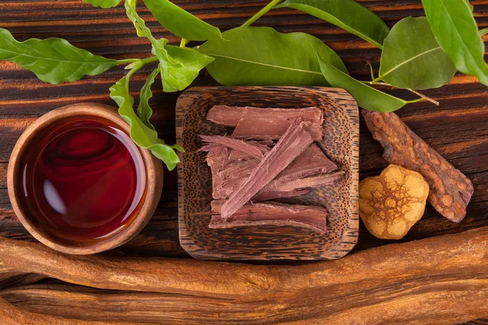 Exploring the Therapeutic Benefits and Scientific Insights of Ayahuasca