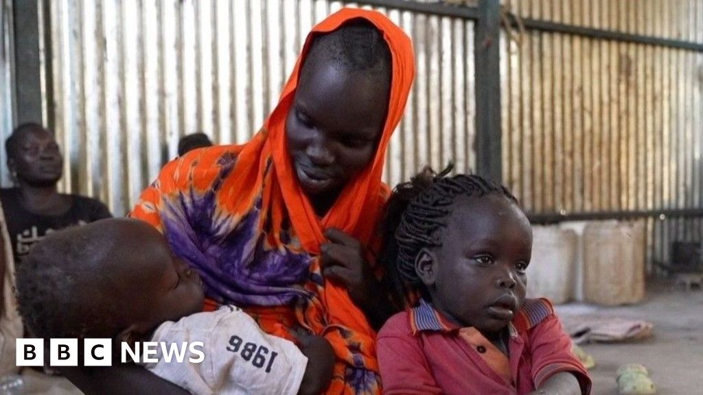 Critical Humanitarian Crisis: Civilians Trapped in Sudan and South Sudan Border Town