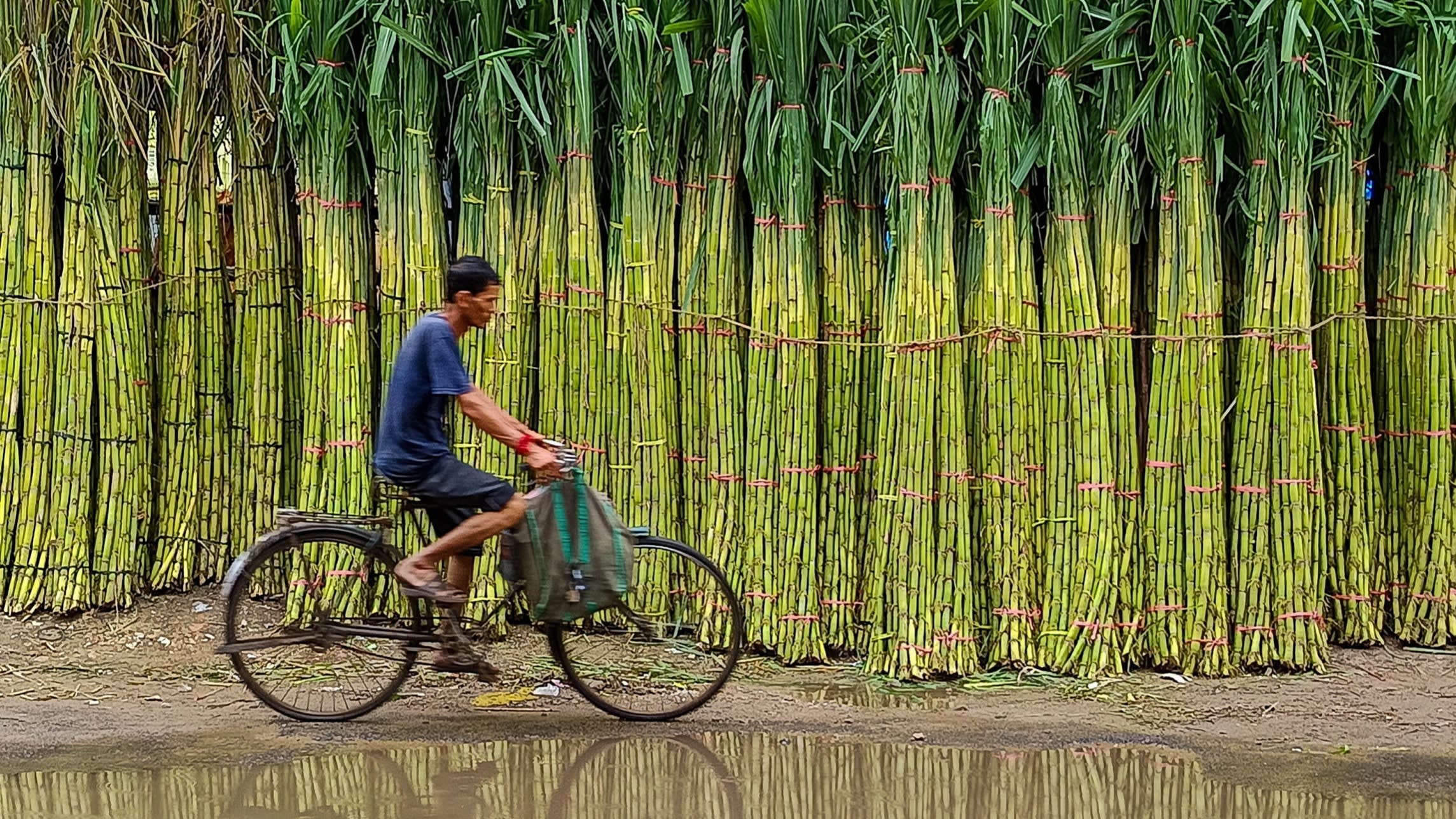 The Invisible Forces Behind Rising Sugar Prices