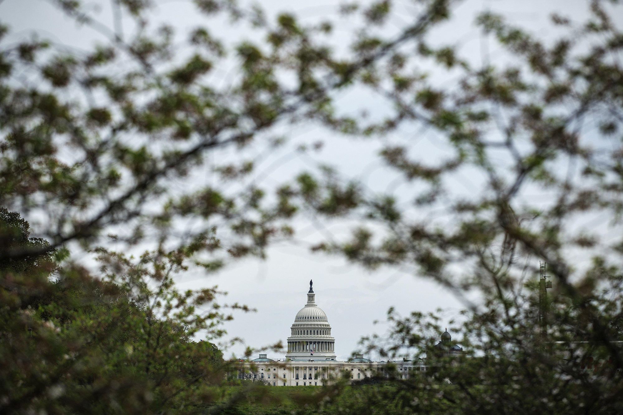 Will Congress Remove AI Safeguards for Californians?