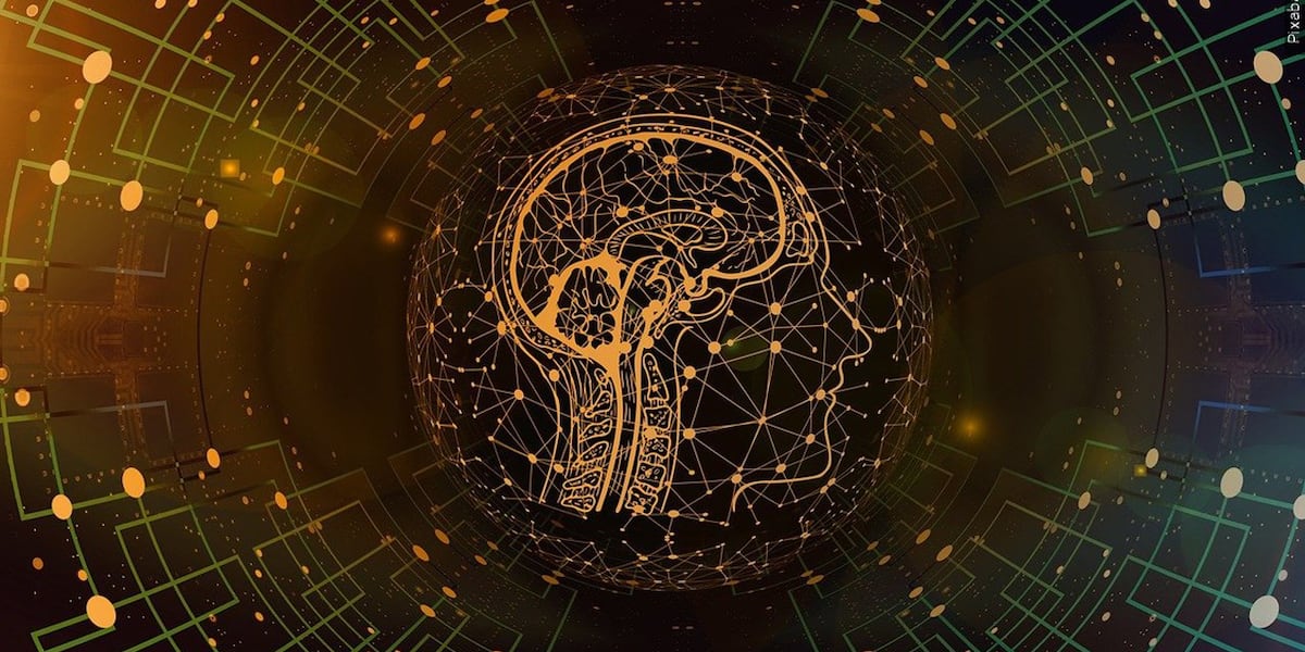 CFCC Empowers Future with New AI Education Program
