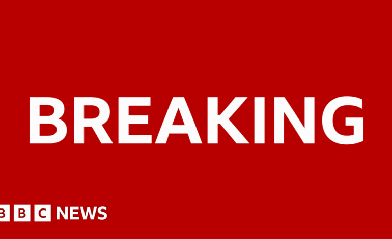 US Singer Chris Brown Faces Charges Over Alleged Assault in 2023