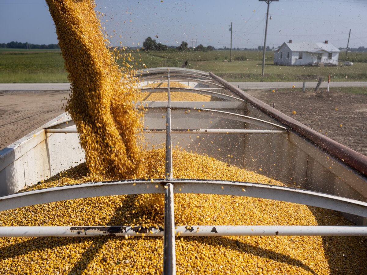 The Impact of Tariffs on U.S. Crop Trader Andersons and the Broader Export Economy