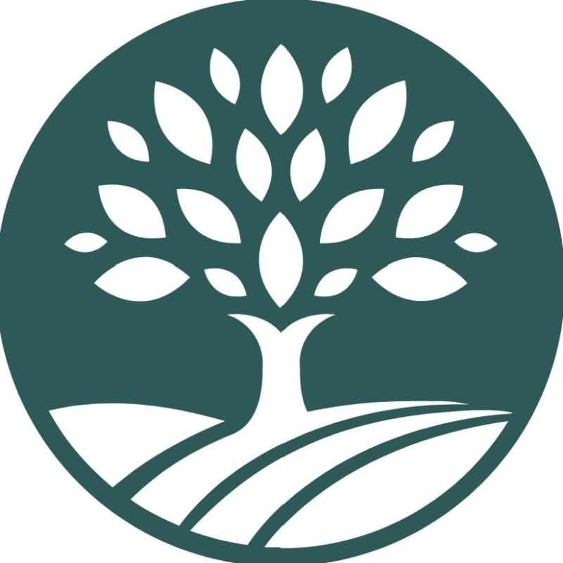 Retirement Planning Melbourne: Insights from Forward Path Advisory on Federal Budget 2025