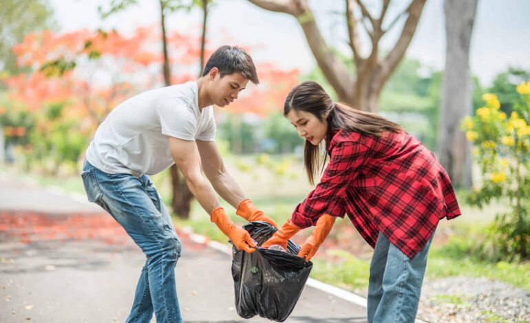 Harnessing Lean Six Sigma for Enhanced Efficiency in Non-Profit Organizations