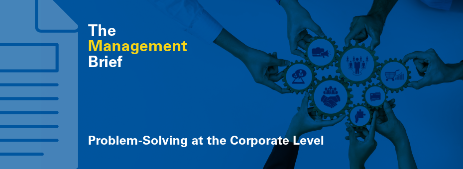 Mastering Problem-Solving at the Corporate Level: Strategies and Insights