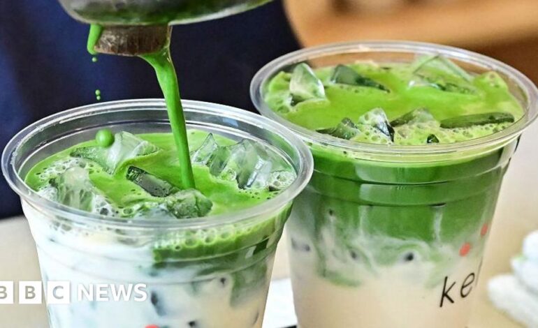 Exploring the Global Surge of Matcha Tea Demand