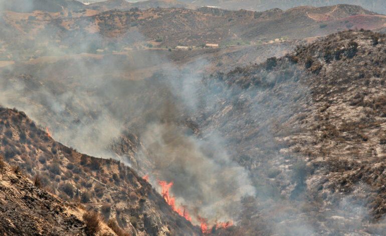 Progress in Battle Against Wildfire Near Los Angeles: A Glimpse into Ongoing Efforts