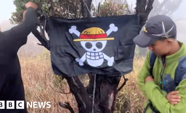 The Rise of One Piece’s Skull Symbol in Indonesian Activism
