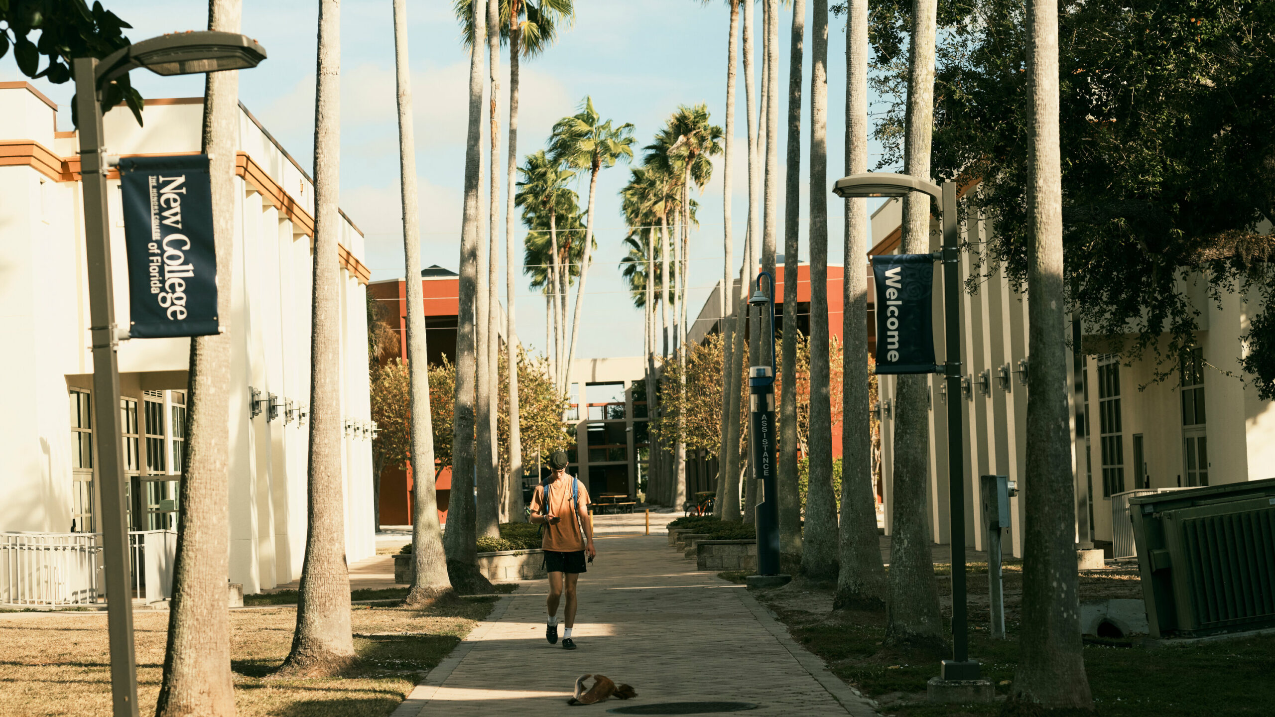 The Transformation of New College of Florida Under Governor DeSantis