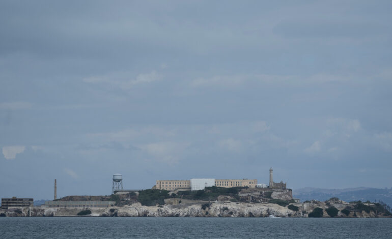 Escape to Alcatraz: Coyote’s Remarkable Swim to New Territories