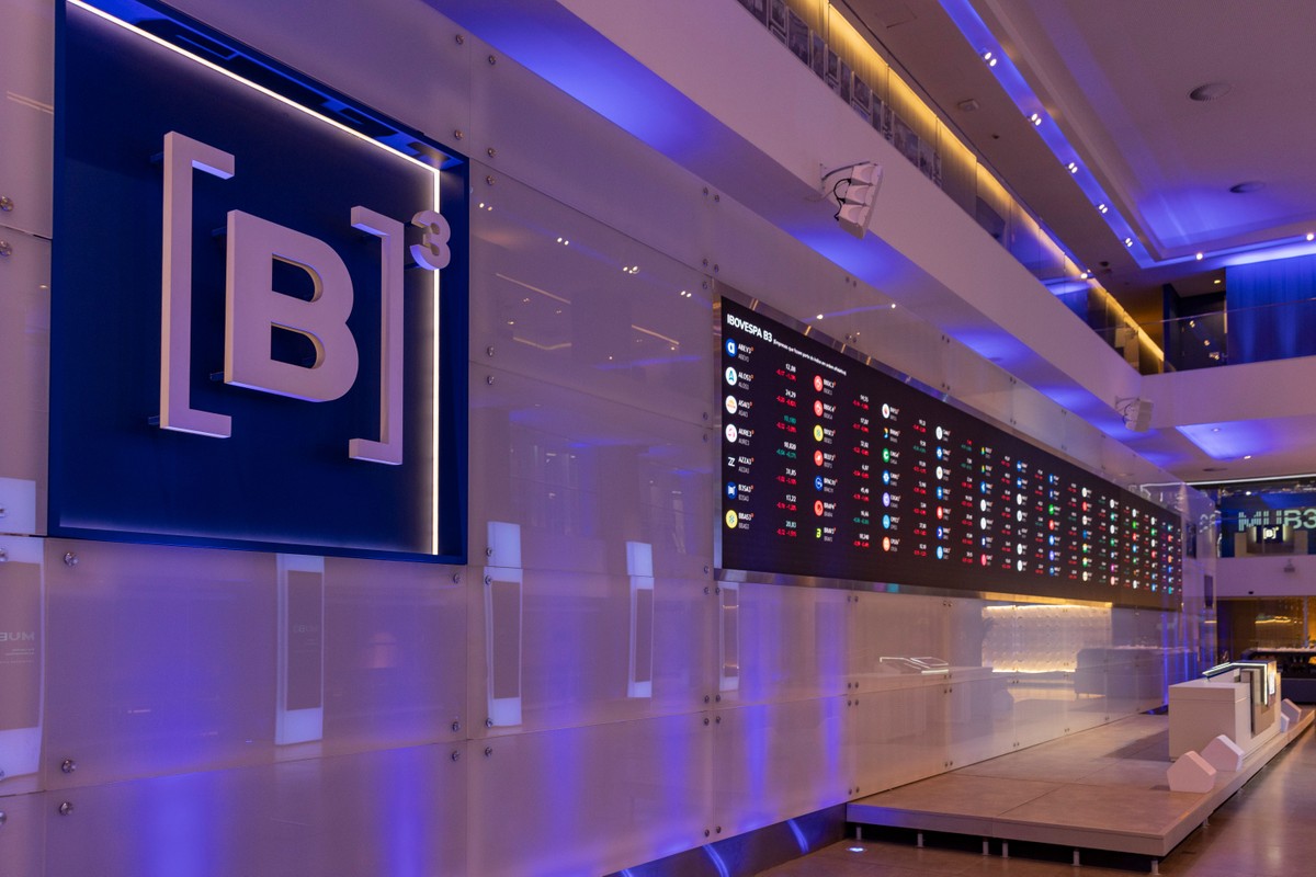 Ibovespa Soars to New Record Amid Selic Rate Cut Speculation and Foreign Influx