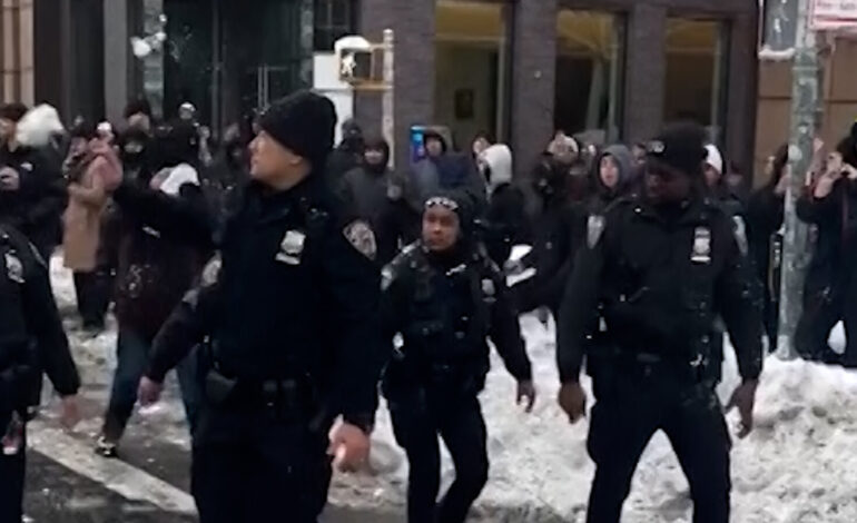 NYPD and Snowball Fight in Washington Square Park: A Tense Encounter