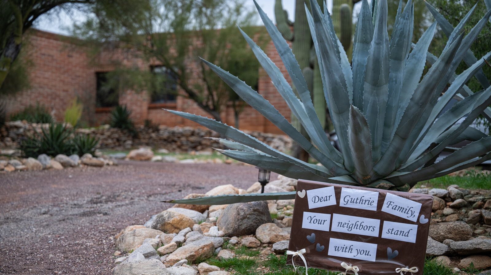 Renewed Plea for Missing Nancy Guthrie: A Family’s Unyielding Search