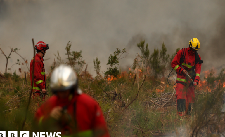 France Wildfire Forces Mass Evacuations Near Bordeaux