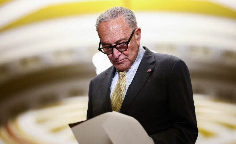 Schumer Holds Back Support for Likely Democratic Senate Nominee in Maine