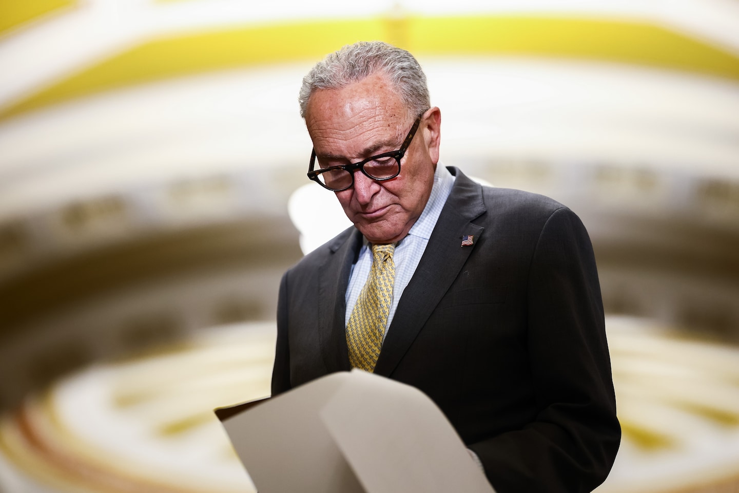 Schumer Holds Back Support for Likely Democratic Senate Nominee in Maine